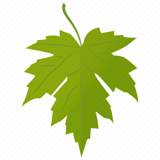 Foliage, generic leaf, grape leaf, green leaf, leaf icon - Download on Iconfinder