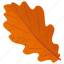 autumn leaf, foliage, leaf, leaf in fall, oak leaf 