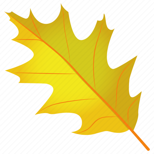Autumn leaf, leaf in fall, oak leaf, quercus coccinea, scarlet oak icon - Download on Iconfinder