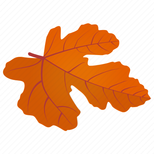 Autumn leaf, field maple, foliage, leaf in fall, maple leaf icon - Download on Iconfinder