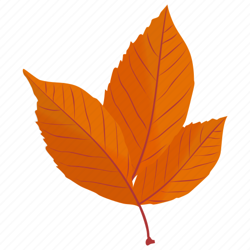 American beech, autumn leaf, foliage, leaf in fall, leafy twig icon - Download on Iconfinder