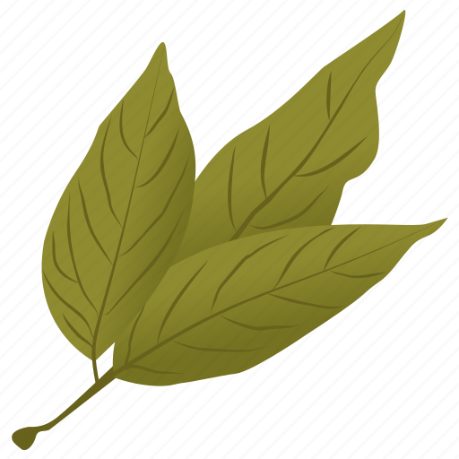 Ash leaves, foliage, green leaves, leafy twig icon - Download on Iconfinder