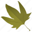 autumn leaf, foliage, green leaf, leaf, maple leaf 