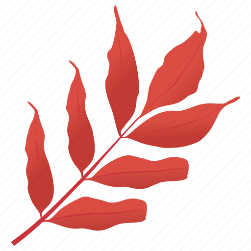 Autumn leaf, foliage, leaf in fall, leafy twig, white ash icon - Download on Iconfinder
