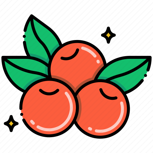 Cranberries, fruit, berries icon - Download on Iconfinder