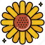 sunflower, flower, yellow, sun, plant 