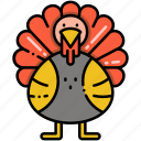 turkey, animal, chicken, thanksgiving, festivity