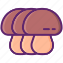 three, mushrooms, vegetable, fungi