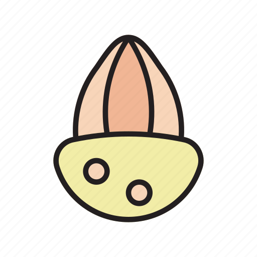 Almond, nut, nutshell, seed, nature, vegetarian, diet icon - Download on Iconfinder