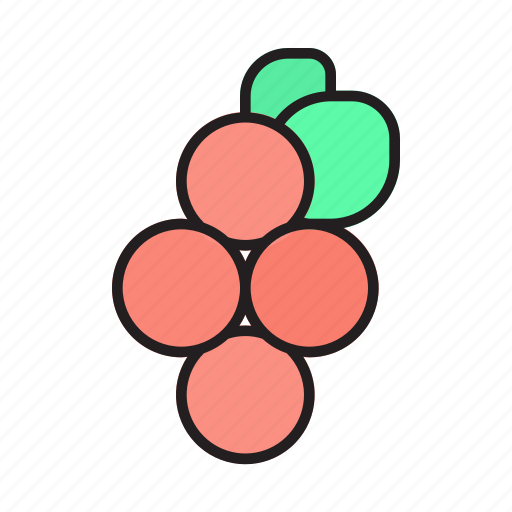 Raspberry, antioxidant, fruit, blackberry, berries, berry, blueberry icon - Download on Iconfinder