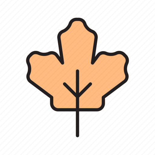 Maple, canada, nature, foliage, leaf, ottawa, flag icon - Download on Iconfinder