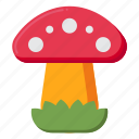 mushroom, vegetable, fungi