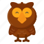 owl, animal, bird, night 