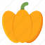 pumpkin, fruit, vegetable, halloween 