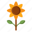 sunflower, flower, yellow, sun 