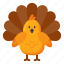 turkey, animal, chicken, thanksgiving, festivity, celebration