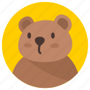 avatar, bear, user, man, people, profile
