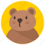 avatar, bear, user, man, people, profile 