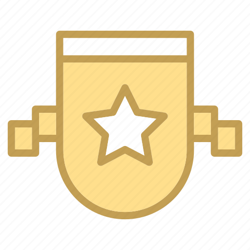 Acheivement, awards, shield, star icon - Download on Iconfinder