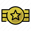 achievement, badge star, honors, star award