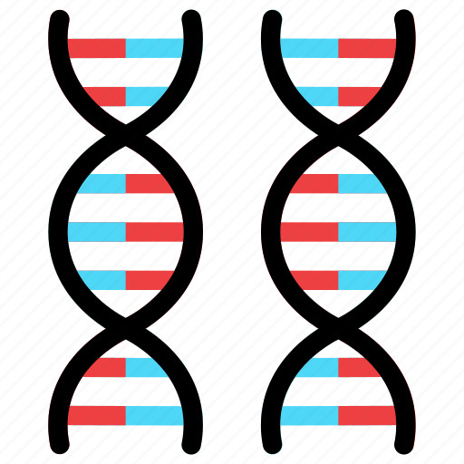 Dna, helix, chromosome, science, genetic icon - Download on Iconfinder