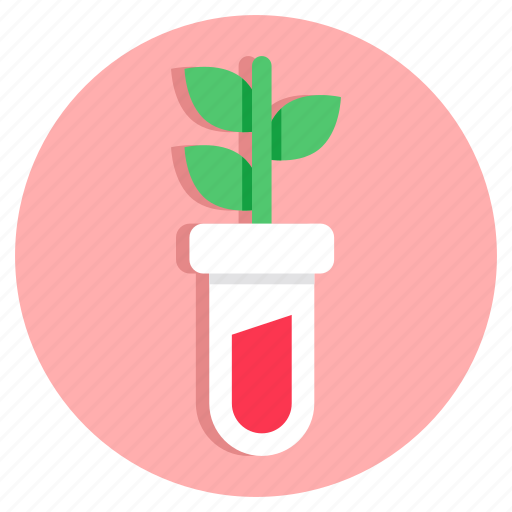 Botanical tube, experiment, lab apparatus, lab equipment, test tube icon - Download on Iconfinder