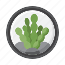 algae, microbes, microbiology, biology, science, biotechnology, research, lab
