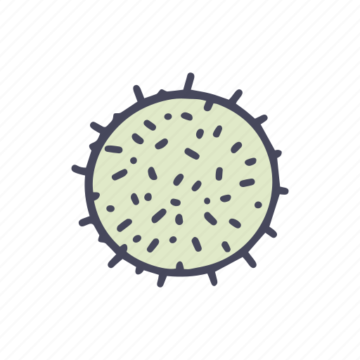 Bacteria, virus, microorganism, infection, prokaryote icon - Download on Iconfinder