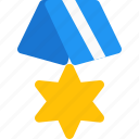 david, honor, badge, medal