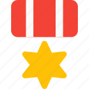 david, star, medal, badge