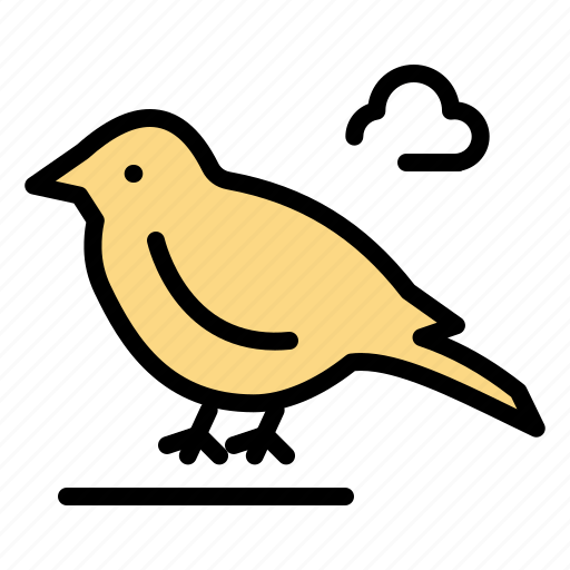 Bird, british, small, sparrow icon - Download on Iconfinder