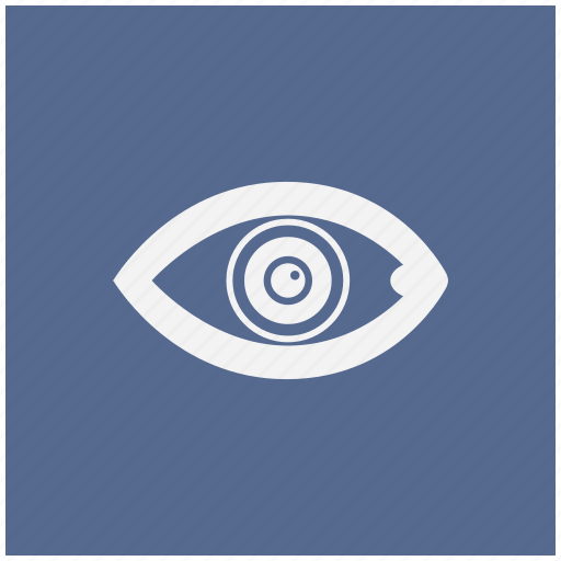 Biometry, eye, eyeball, form, pupil icon - Download on Iconfinder