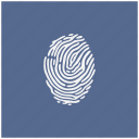 biometry, fingerprint, form, identity, person