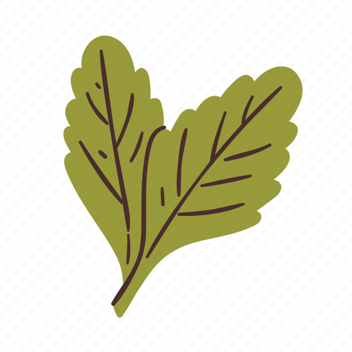 Stevia, leaves, natural, sweet, sweetener icon - Download on Iconfinder