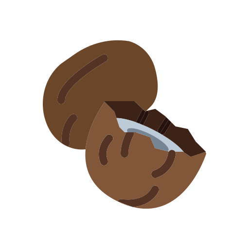 Coconut, shell, local, produce, authentic, tropical, natural icon - Download on Iconfinder