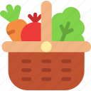 vegetable basket, organic, vegetarian, veggies, harvest, vegan, vegetables