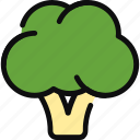 broccoli, vegetable, vegan, vegetarian, healthy food, nutrition, diet