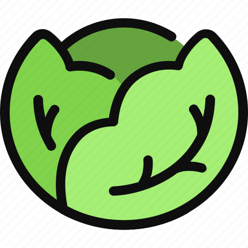 Cabbage, veggie, diet, vegan, healthy food, vegetable, vegetarian icon - Download on Iconfinder