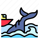 animal, boat, nautical, ocean, sea, water, whale