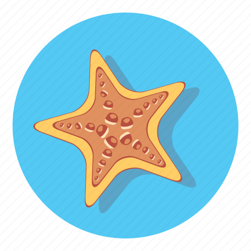 Star, animal, animals, favourite icon - Download on Iconfinder