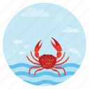 beach, crab, holiday, ocean, seafood, summer, vacation