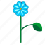 blue, bud, flower, leaf, plant 
