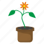 bud, flower, pot 