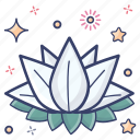 decorative flower, flower, flower design, generic flower, lotus, tropical flower 