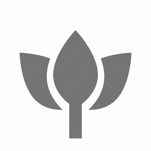 Flower, lotus, spa icon - Download on Iconfinder