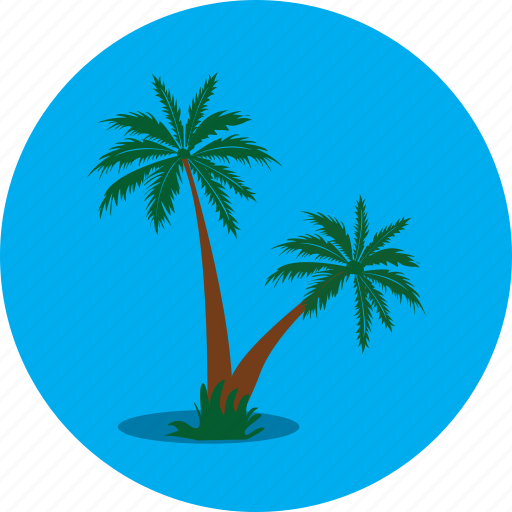 Tree, beach, holiday, island, nature, palm tree, plant icon - Download on Iconfinder