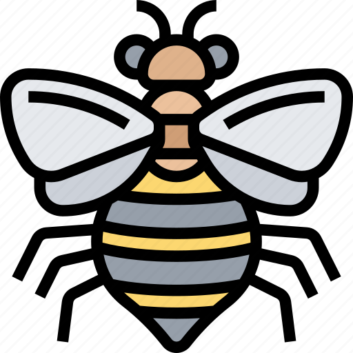 Bee, insect, honey, pollinator, nature icon - Download on Iconfinder
