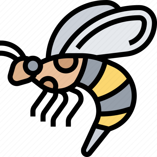 Bee, venom, wasp, insect, nature icon - Download on Iconfinder