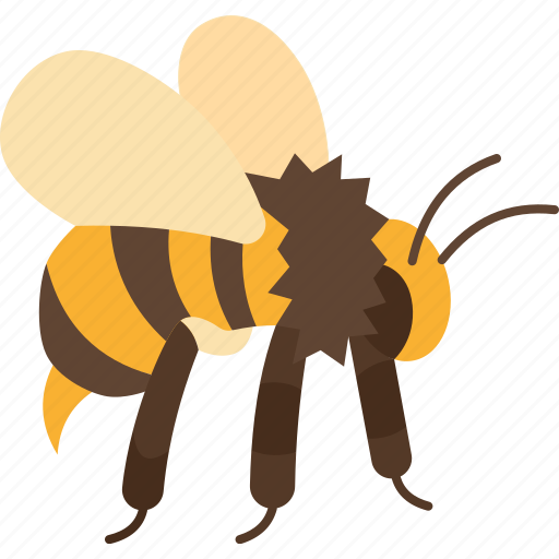 Bee, honey, insect, animal, garden icon - Download on Iconfinder