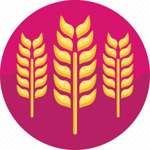 Barley, beer ingredient, beer icon - Download on Iconfinder